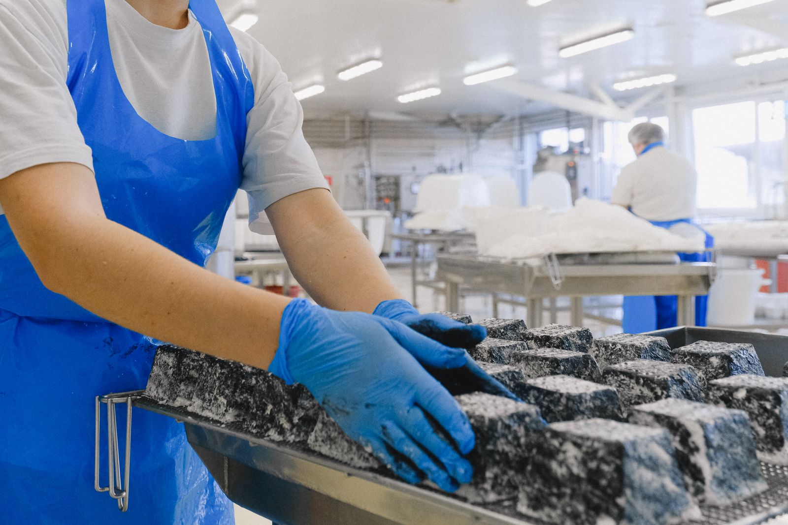 Buenas Prácticas de Manufactura e Higiene y Manipulación de Alimentos — Avanzado